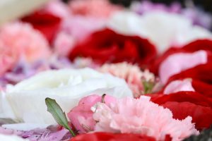 六華苑、花手水（手水舎）日本庭園、2月の冬の花、三重県桑名市の観光・撮影スポットの画像と写真