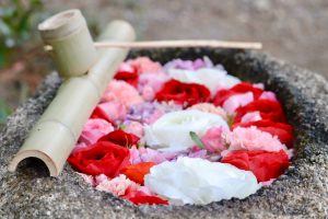 六華苑、花手水（手水舎）日本庭園、2月の冬の花、三重県桑名市の観光・撮影スポットの画像と写真