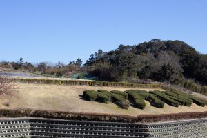 サンテパルクたはら (田原市芦ヶ池農業公園)、２月、愛知県田原市の観光・撮影スポットの画像と写真