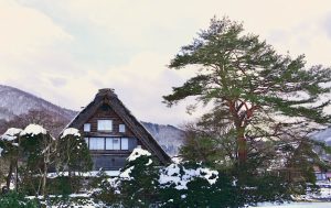 白川郷合掌造り集落、雪景色、2月冬、岐阜県大野郡の観光・撮影スポットの画像と写真