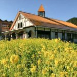洲原ひまわりの里、菜の花、２月の春の花、岐阜県美濃市の観光・撮影スポットの画像と写真
