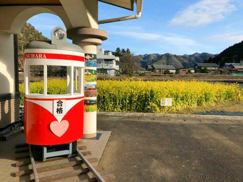 洲原ひまわりの里、菜の花、２月の春の花、岐阜県美濃市の観光・撮影スポットの画像と写真