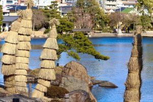 徳川園、2月の冬の花、名古屋市東区の観光・撮影スポットの画像と写真