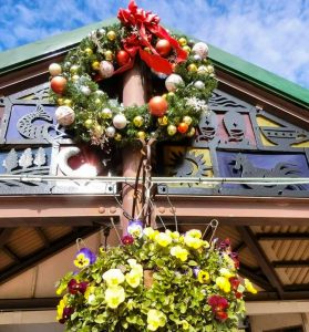 安城産業文化公園 デンパーク,2月冬の花、愛知県安城市の観光・撮影スポットの画像と写真