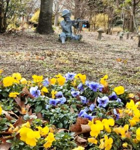 安城産業文化公園 デンパーク,2月冬の花、愛知県安城市の観光・撮影スポットの画像と写真