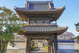 行福寺、しだれ桜、3月春の花、愛知県豊田市の観光・撮影スポットの画像と写真