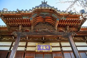 行福寺、しだれ桜、3月春の花、愛知県豊田市の観光・撮影スポットの画像と写真