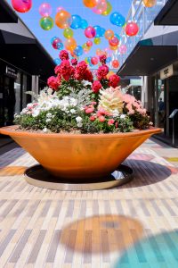 星が丘テラス、春の花、 3月春、名古屋市千種区の観光・撮影スポットの画像と写真