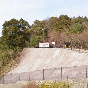 いなべ市農業公園、梅林公園、3月の春の花、三重県いなべ市の観光・撮影スポットの画像と写真