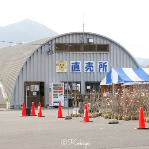 いなべ市農業公園、梅林公園、3月の春の花、三重県いなべ市の観光・撮影スポットの画像と写真
