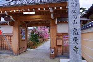 光受寺、飛龍梅、2月春の花、岐阜県大垣市の観光・撮影スポットの画像と写真