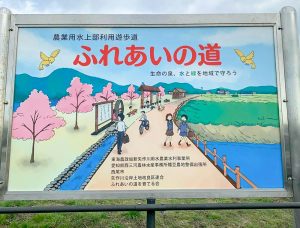西尾ふれあいの道、河津桜、3月春の花、愛知県西尾市の観光・撮影スポットの画像と写真