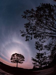 大高緑地、一本木、名古屋市緑区の観光・撮影スポットの画像と写真