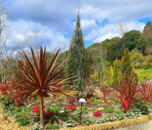 レッドヒルヒーサーの森、3月春の花、三重県津市の観光・撮影スポットの画像と写真