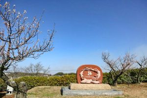 佐布里緑と花のふれあい公園、梅園、2月春の花、愛知県知多市の観光・撮影スポットの画像と写真