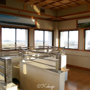 墨俣一夜城、ひな祭り、2月春、岐阜県大垣市の観光・撮影スポットの画像と写真