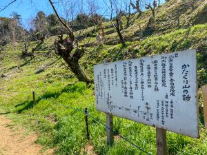 石巻西川カタクリ山、3月春の花、愛知県豊橋市の観光・撮影スポットの画像と写真