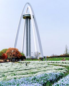 138タワーパーク、ネモフィラ、3月の春の花、愛知県一宮市の観光・撮影スポットの画像と写真