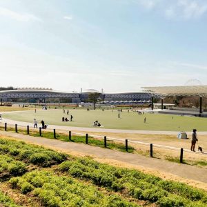 愛・地球博記念公園、3月春の花、愛知県長久手市の観光・撮影スポットの画像と写真