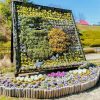 愛・地球博記念公園、3月春の花、愛知県長久手市の観光・撮影スポットの画像と写真
