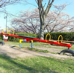 羽根谷だんだん公園、桜並木、3月春の花、岐阜県海津市の観光・撮影スポットの名所