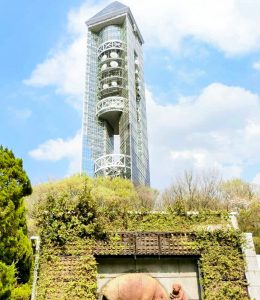 東山動植物園、3月春の花名古屋市千種区の観光・撮影スポットの写真