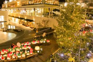 星が丘テラス、イルミネーション、12月冬、名古屋市千種区の観光・撮影スポットの画像と写真