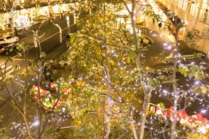 星が丘テラス、イルミネーション、12月冬、名古屋市千種区の観光・撮影スポットの画像と写真
