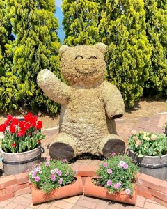 木曽三川公園センター、春の花、4月の春の花、岐阜県海津市の観光・撮影スポットの画像と写真
