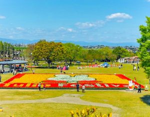 木曽三川公園センター、チューリップ、4月の春の花、岐阜県海津市の観光・撮影スポットの画像と写真