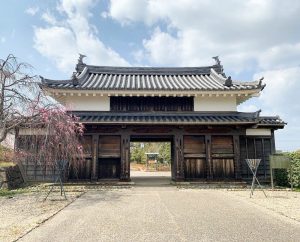 西尾城、桜、3月春の花、愛知県西尾市の観光・撮影スポットの画像と写真