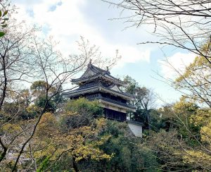 西尾城、桜、3月春の花、愛知県西尾市の観光・撮影スポットの画像と写真