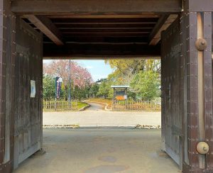 西尾城、桜、3月春の花、愛知県西尾市の観光・撮影スポットの画像と写真