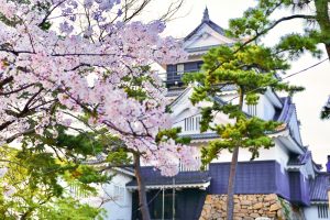 岡崎公園、さくら、3月春の花、愛知県岡崎市の観光・撮影スポットの画像と写真