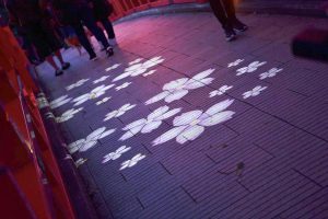 岡崎公園、さくらライトアップ、3月春の花、愛知県岡崎市の観光・撮影スポットの画像と写真