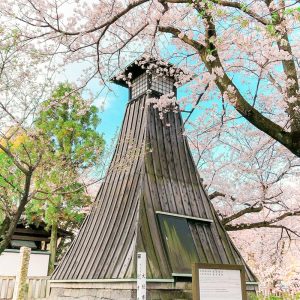 奥の細道むすびの地記念館、水門川、桜まつり、4月春の花、岐阜県大垣市の観光・撮影スポットの画像と写真