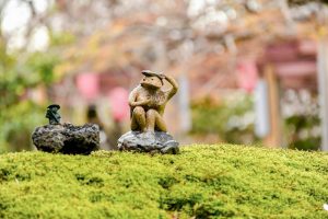 大山緑地、桜、3月春の花、愛知県高浜市の観光・撮影スポットの画像と写真