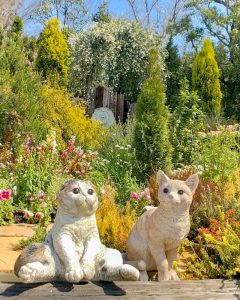 レッドヒルヒーサーの森、3月春の花、三重県津市の観光・撮影スポットの画像と写真