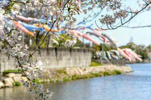 佐屋川創郷公園、鯉のぼり、春、愛知県海部郡の観光・撮影スポットの画像と写真
