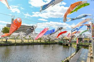 佐屋川創郷公園、鯉のぼり、春、愛知県海部郡の観光・撮影スポットの画像と写真