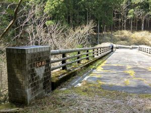 新城市ミツマタ群生地、3月春の花、愛知県新城市の観光・撮影スポットの名所