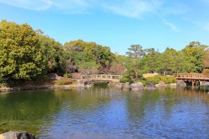 白鳥庭園、しだれ桜、3月の春の花、名古屋市熱田区の観光・撮影スポットの画像と写真