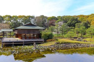 白鳥庭園、しだれ桜、3月の春の花、名古屋市熱田区の観光・撮影スポットの画像と写真