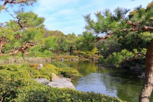 白鳥庭園、しだれ桜、3月の春の花、名古屋市熱田区の観光・撮影スポットの画像と写真