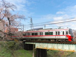 新境川の桜並木、百十朗桜・名鉄電車、3月春の花、岐阜県各務原市の観光・撮影スポットの画像と写真