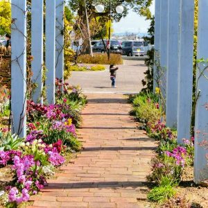 フローラルガーデンよさみ、4月春の花、愛知県刈谷市の観光・撮影スポットの画像と写真