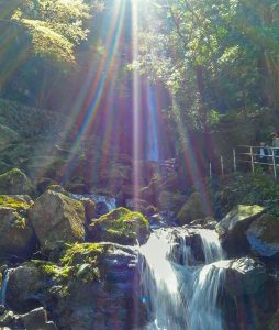 養老公園、養老の滝、3月、岐阜県養老郡の観光・撮影スポットの画像と写真