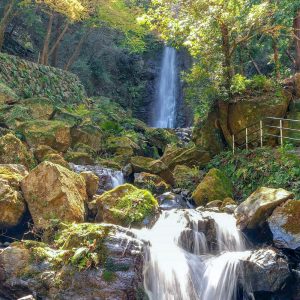 養老公園、養老の滝、3月、岐阜県養老郡の観光・撮影スポットの画像と写真