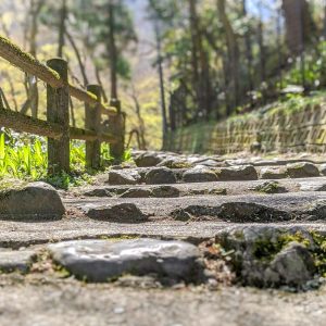 養老公園、3月、岐阜県養老郡の観光・撮影スポットの画像と写真