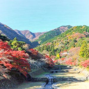 養老公園、3月、岐阜県養老郡の観光・撮影スポットの画像と写真